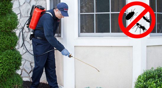 Arapgir Gümüşkurt İlaçlama böcek ilaçlama ve haşere kontrolü — ilaclama-tr.com